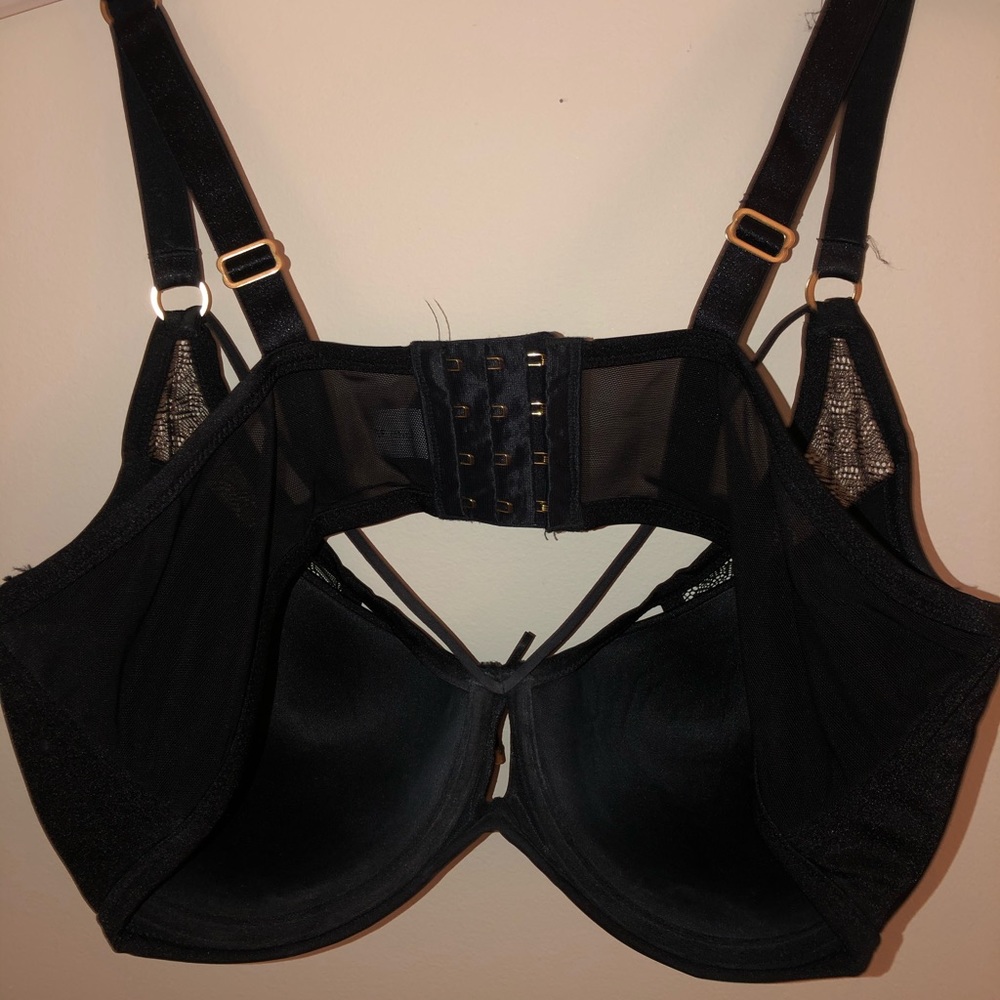 40DDD Ashley Graham Bra